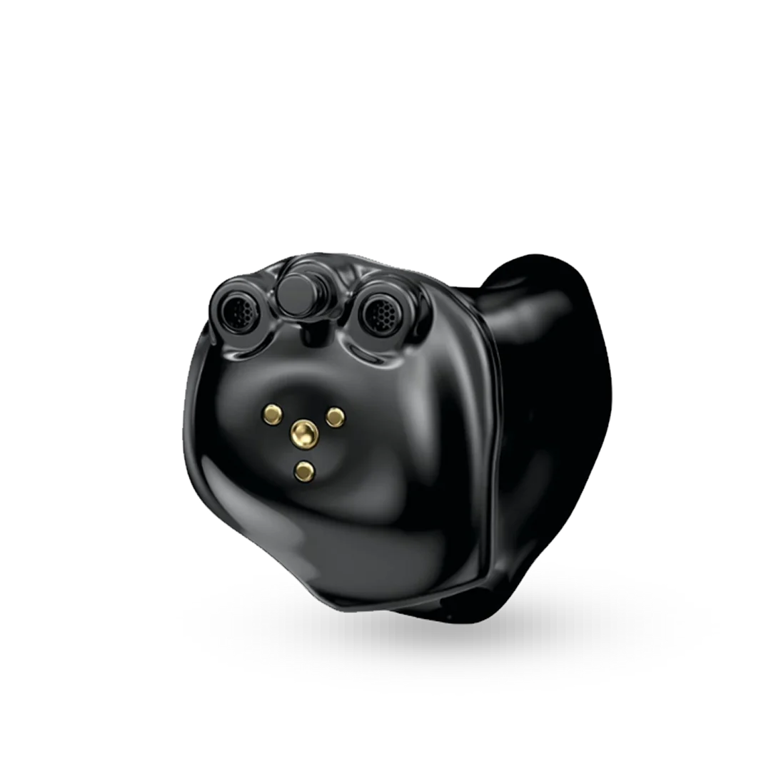 Hearing aid model 6